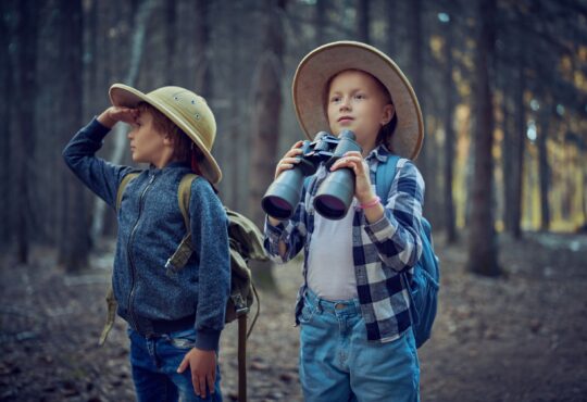 Los Mejores Juguetes para Niños: Encontrando el Regalo Perfecto