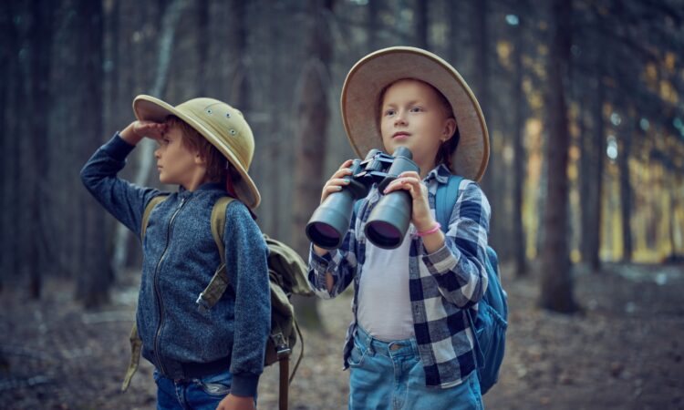 Los Mejores Juguetes para Niños: Encontrando el Regalo Perfecto